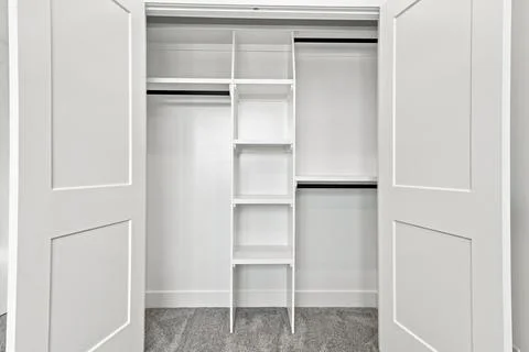 White closet doors are open 库存插图
