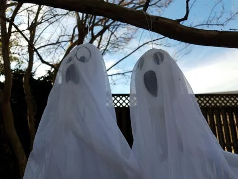 White cloth ghosts hanging from tree branch Stock Photos