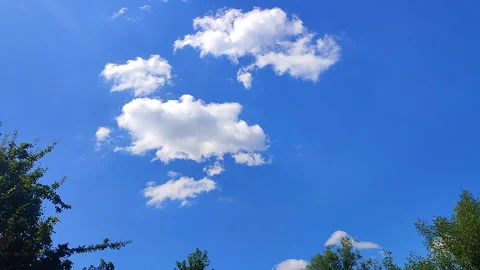 White cloud in the blue clean sky and green trees. Fast moving cloud in blue sky Stock Footage 286269984