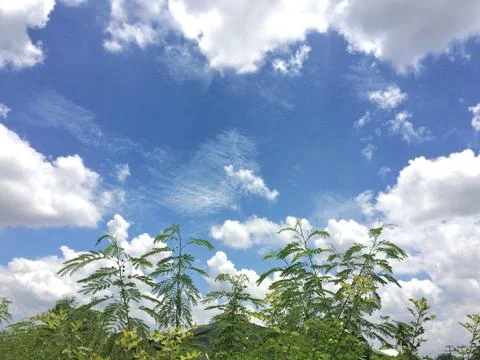 White cloud Blue sky background Stock Photos