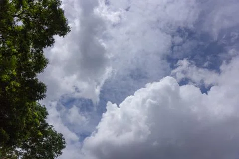 White cloud on blue sky background with tree Stock Photos
