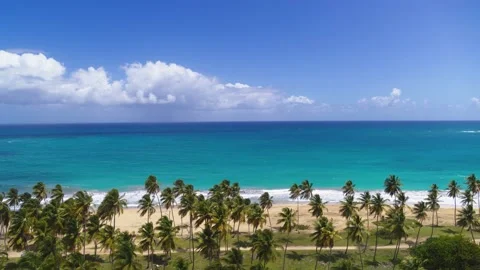 White cloud in the blue sky over the turquoise ocean near the palm beach. Stock Footage 185910453