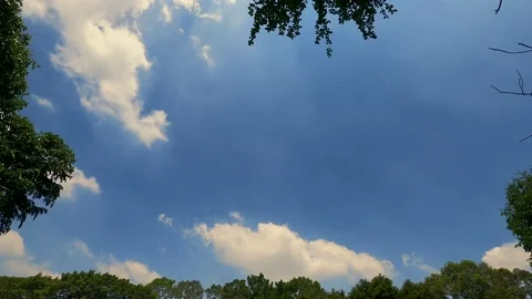 White cloud floating in the blue sky with green tree background Stock Footage 150228107