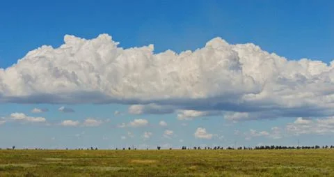 A white cloud hanging over the far horizon of the green plain hat Foto stock