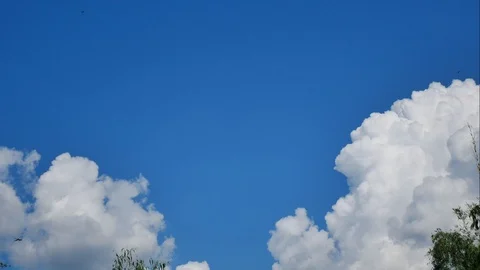 White cloud moving time lapse. Stock Footage 98483563