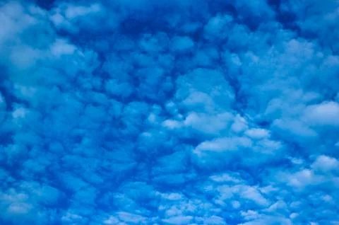 A white cloud. Stock Photos