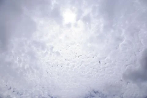 White cloud as the softbox in the sky Stock Photos