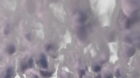 White cloud in time lapse on black background with alpha channel Stock Footage 237356740