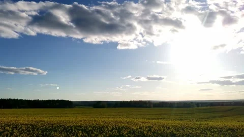 White clouds against a blue sky over a timelapse canola field. Vídeos de archivo 309544010