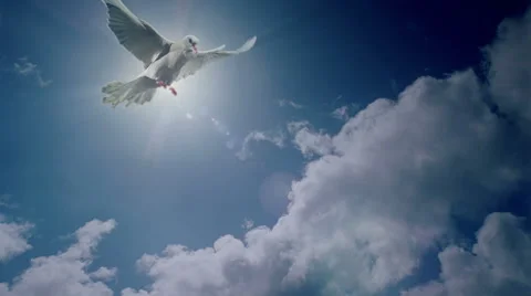 White clouds and Dove of Peace Stock Footage