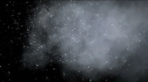 White clouds and feathers on a black background 動画素材 54539588