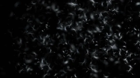 White clouds and feathers on a black background Vidéo 54549343