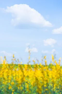 White clouds and light blue sky in spring season. Foto stock