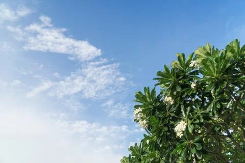 White clouds on a background of blue sky on a sunny day. Stock Photos