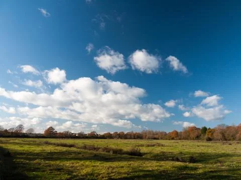 White clouds blue open sky space green grass land farm Stock Photos