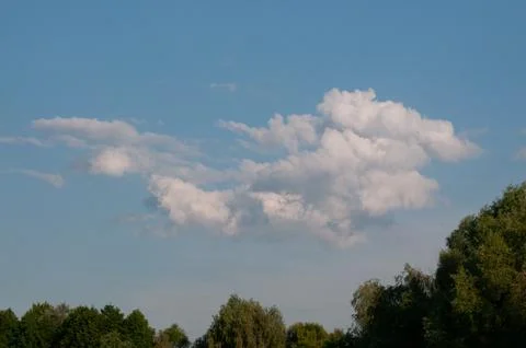 White clouds in a blue sky above a line of green trees Fotos Stock