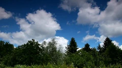 White Clouds on the blue sky and green trees Stockbeeldmateriaal 436844