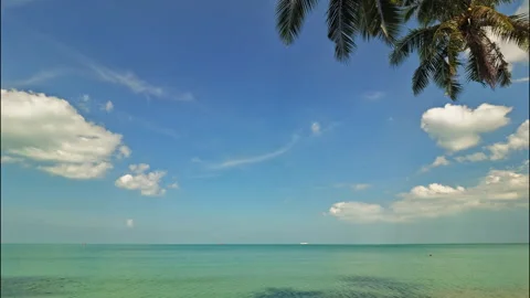 White clouds, blue sky and palm tree over tropical sea, time lapse 動画素材 331762911