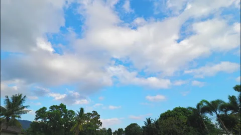 White clouds, blue sky and palm trees. Time lapse. Stock Footage 332318541