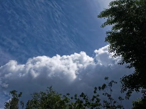 White clouds on a blue sky and trees Stock Photos