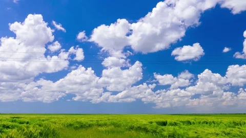 White clouds in blue sky over green wheat field, time lapse Stock Footage 76019675