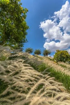 White clouds in blue sky 스톡 사진