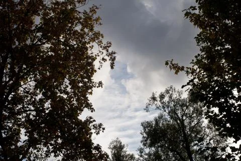 White clouds in the blue sky. Stock Photos