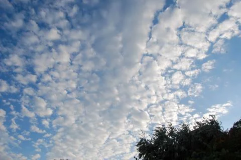 White clouds in the blue sky. Stock Photos