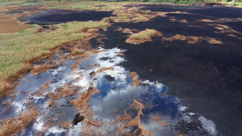 White clouds in blue sky reflected in the waters of a scorched marsh Stock Footage 139998611
