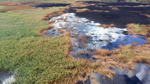 White clouds in blue sky reflected in the waters of a scorched marsh Stock Footage 140004503