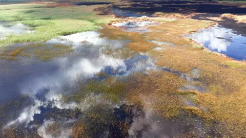 White clouds in blue sky reflected in the waters of a marsh wetland Stock Footage 140046011