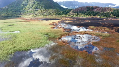 White clouds in blue sky reflected in the waters of a marsh wetland Stock Footage 140051859