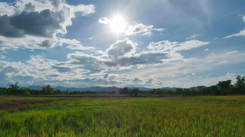 White clouds blue sky time lapse and rice field natural background Stock Footage 133566249