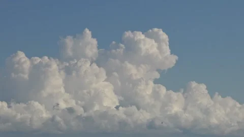 White clouds bubbling timelapse Stock Footage 159075257