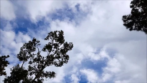 White clouds in dark blue sky - timelaps 動画素材 83455070