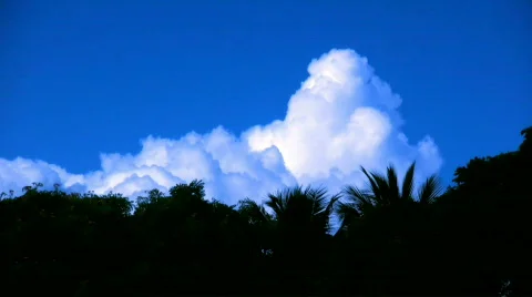  white clouds dark palms Vídeos de archivo 126154