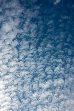 White clouds in the deep blue sky 库存照片