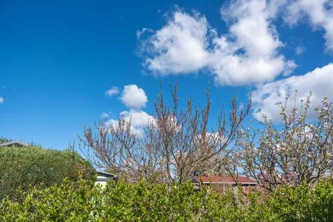 White clouds drift above, adding to the calm atmosphere Foto stock