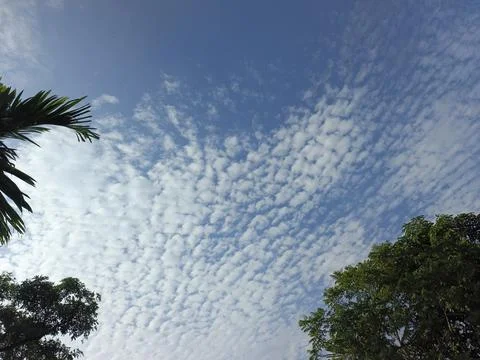 White Clouds Drift Calmly Across Blue Skies Above Green Trees (5) Stock Photos