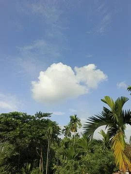White Clouds Drift Calmly Across Blue Skies Above Green Trees (40) Stock Photos