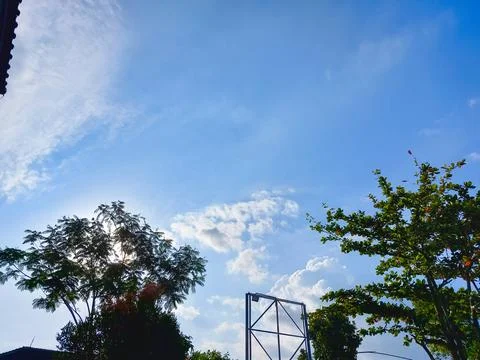 White clouds drifting above dark tree outlines Foto stock