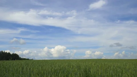 White clouds At Field. Time Lapse Stock Footage 133827475