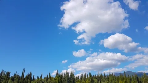 White clouds floating in blue sky on sunny summer day, time lapse Stock Footage 93538317