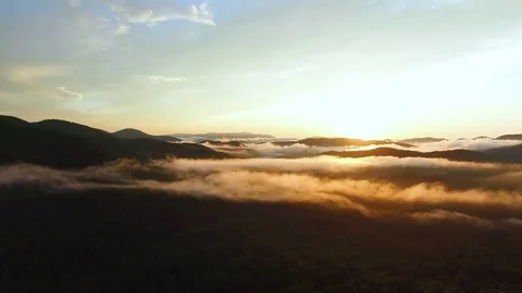 White clouds floating over the dense forest and mountains Video stock 83695380