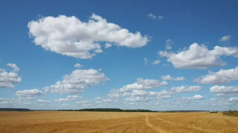 White clouds flying on blue sky over yellow field Stock Footage 521568