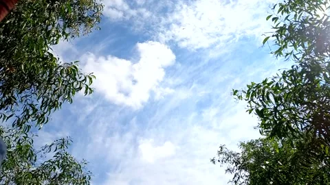 White Clouds Flying On Blue Sky (Timelapse) Stock Footage 172220998