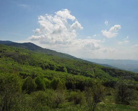 White clouds 库存影片 5298172