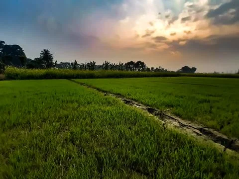 White clouds in the green fields and blue sky. Stock Photos