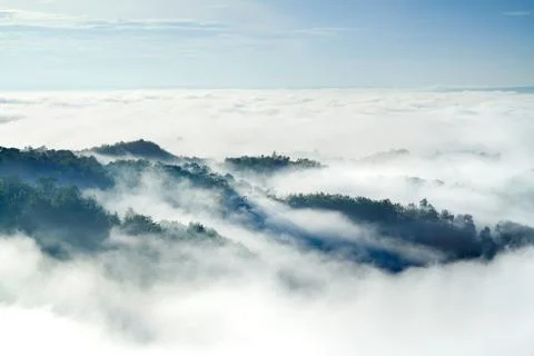 White clouds of mist hovering low between green mountain trees. Stock Photos