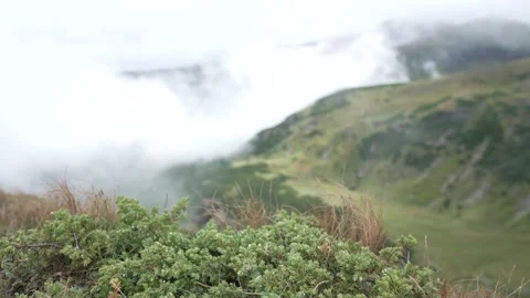 White clouds in the mountains, evaporation after rain Stock Footage 231786881
